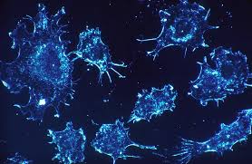 Oncology Drug Sales Boom: How mAbs, ADCs, and ICIs Are Reshaping Commercial Strategy