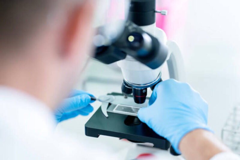 Merck & Co. Secures Second Place as Keytruda Drives Record Oncology Revenues in 2025